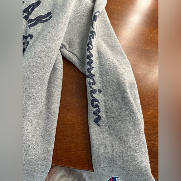 Champion University of Michigan Crewneck - Picture 3 of 3